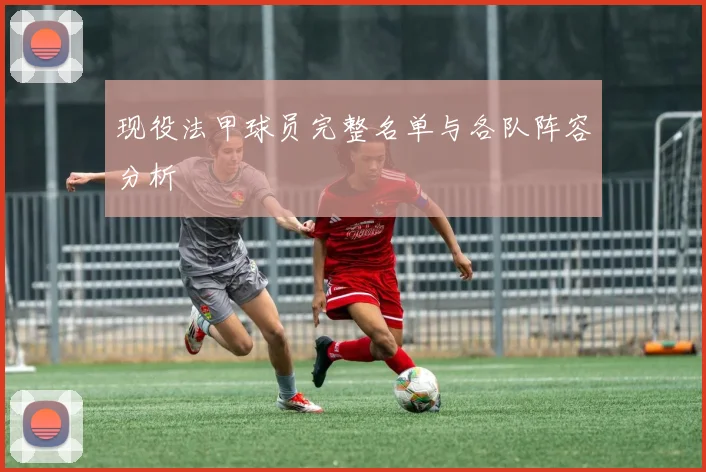 现役法甲球员完整名单与各队阵容分析