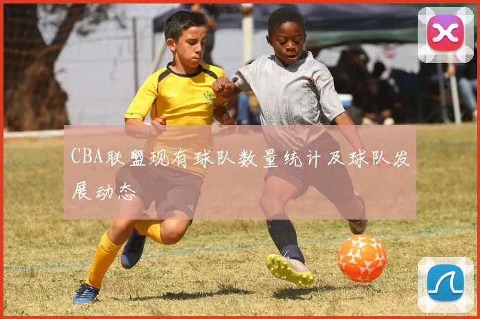 CBA联盟现有球队数量统计及球队发展动态