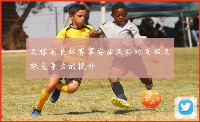 足球省长杯赛事安排及其对省级足球竞争力的提升